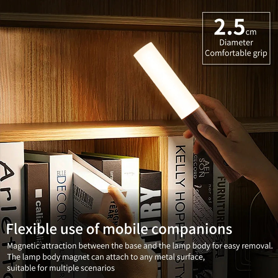 Motion Sensor LED Light