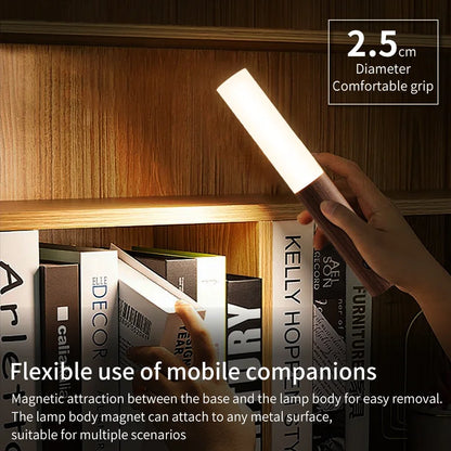 Motion Sensor LED Light
