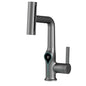 Waterfall/Stream Sprayer Faucet With Digital Temperature Display