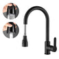 Stainless Steel Water Faucet With Pull Out Spout