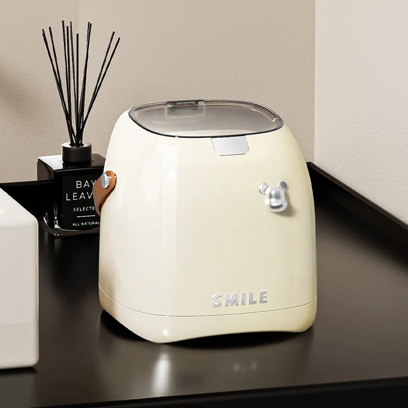 Mini Desktop Bin