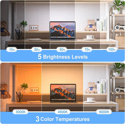 Dimmable Adjustable Light