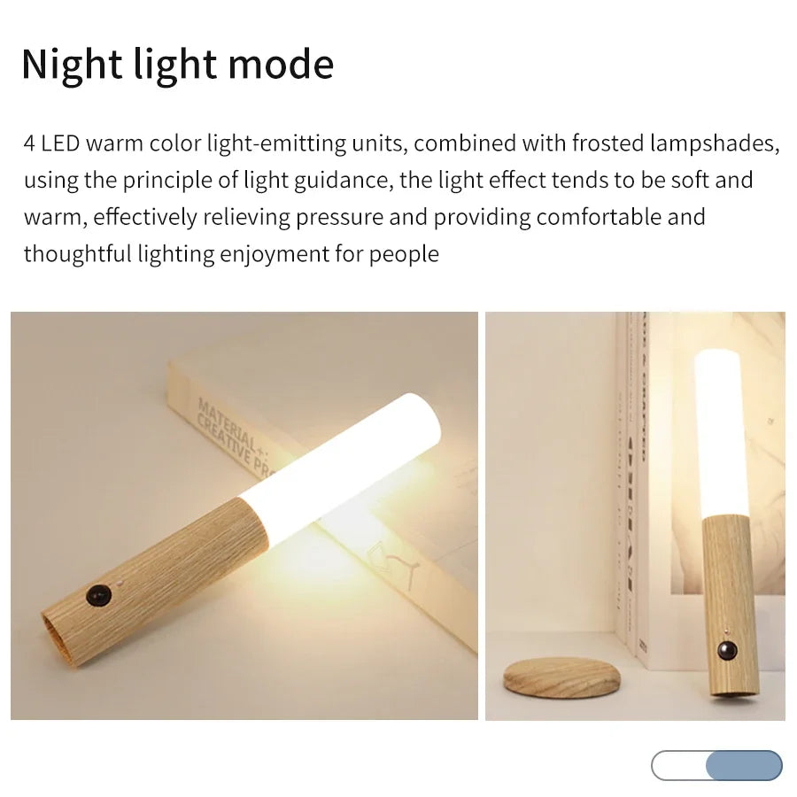 Motion Sensor LED Light
