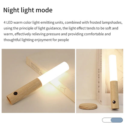 Motion Sensor LED Light