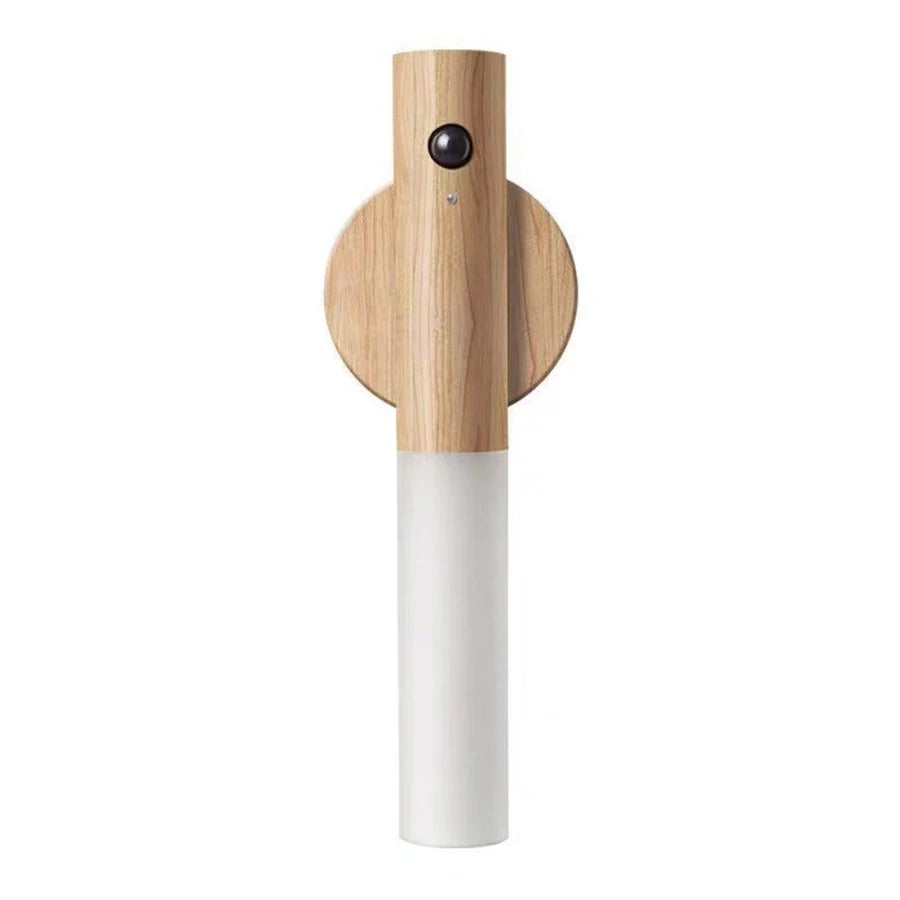 Motion Sensor LED Light