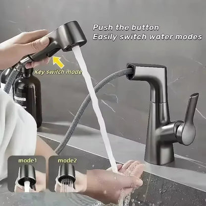 Pull-out Type Faucet