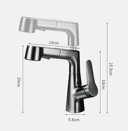 Pull-out Type Faucet