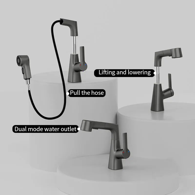 Pull-out Type Faucet