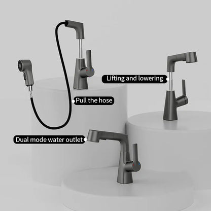 Pull-out Type Faucet