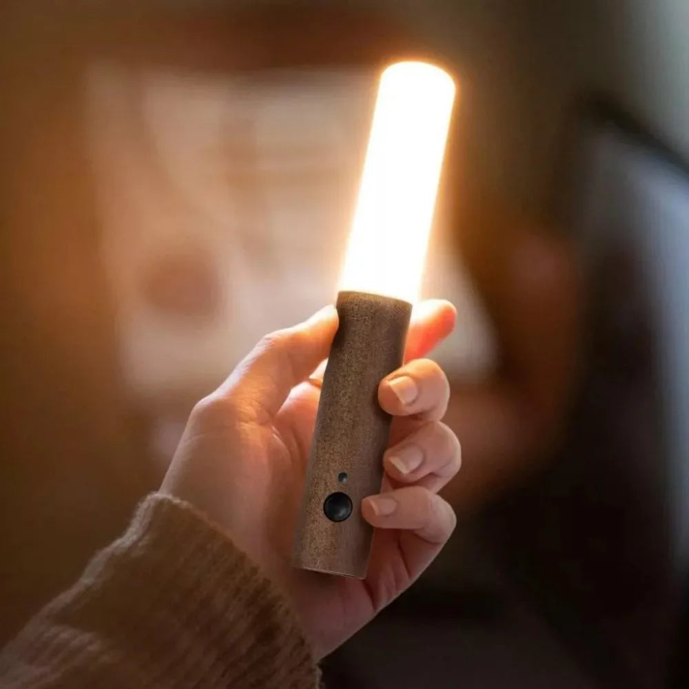 Motion Sensor LED Light